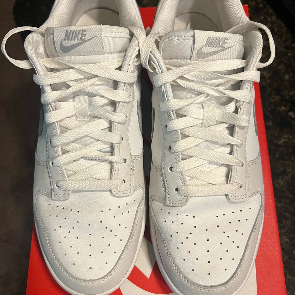 Nike Low Dunk Retro